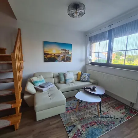 Rose App 2 Daire Loddin